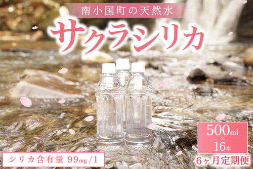 [6ヶ月定期便]南小国町の天然水「サクラシリカ」500ml×16本 6ヶ月 定期便 南小国町 サクラシリカ 500ml 16本 6回 シリカ水 シリカ 飲むシリカ のむ 水 天然水 ネラルウォーター ラベルレス エコ ペットボトル ケース 熊本 阿蘇 送料無料