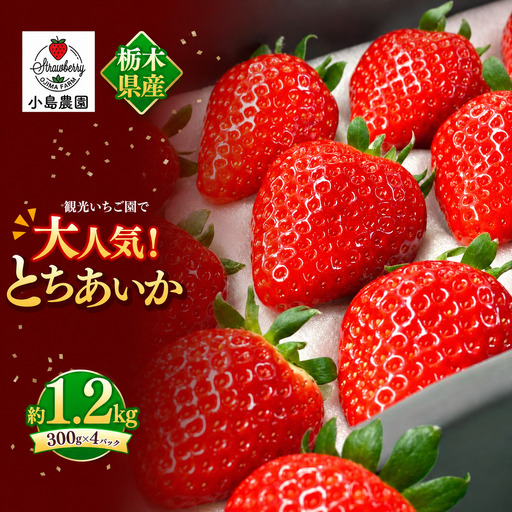 【2027年先行予約】観光農園で大人気！とちあいか 約1.2kg