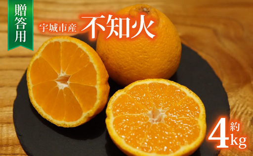 先行予約 宇城市産 不知火 約4kg 15玉前後 贈答用[2027年2月上旬から3月下旬頃発送予定]