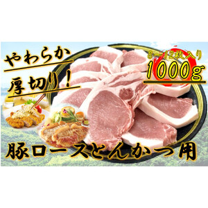 柔らか厚切り！豚ロースとんかつ用　1kg(8～12枚入り)