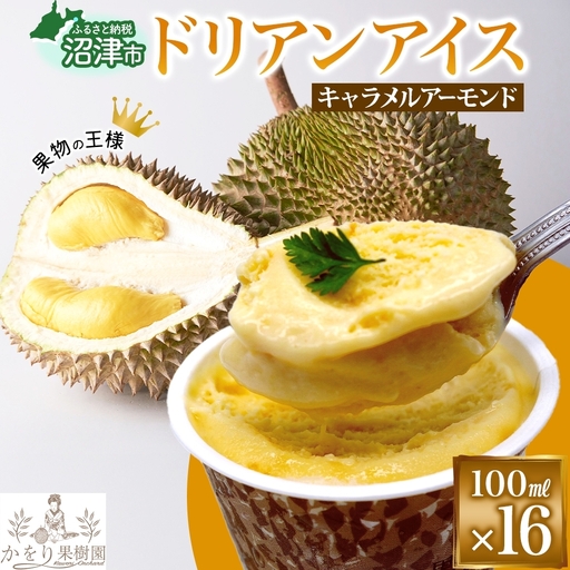 ドリアン ココナッツ キャラメルアーモンド アイスクリーム 100ml 16個 ココナッツ キャラメル