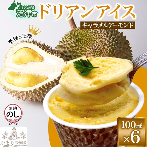 無地熨斗 ドリアン ココナッツ キャラメルアーモンド アイスクリーム 100ml 6個 ココナッツ キャラメル