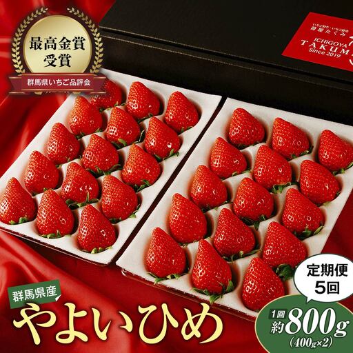 いちご 定期便5回分 やよいひめ 約800g いちご 群馬県 前橋市