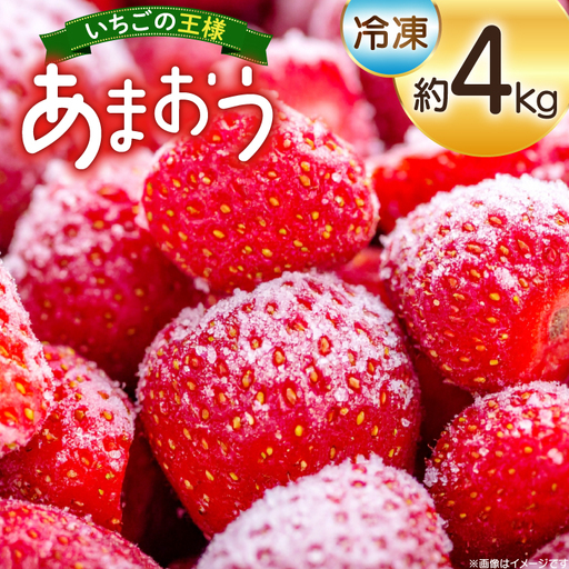 いちご 冷凍 あまおう 約4kg