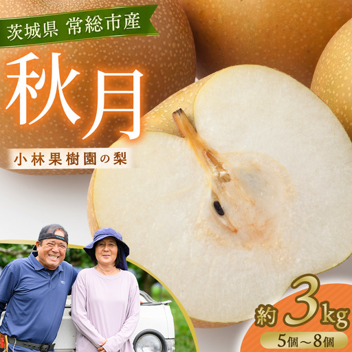 【先行予約】小林果樹園の梨 秋月 5～8玉 約3kg｜あきづき 朝どり みずみずしい 梨 なし ナシ フルーツ 果物 常総市　※2026年9月～発送
