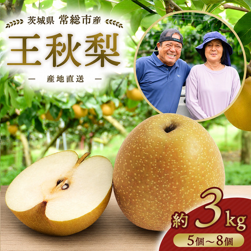 【先行予約】小林果樹園の梨 王秋 5～8玉 約3kg｜おうしゅう 朝どり みずみずしい 梨 なし ナシ フルーツ 果物 常総市　※2026年9月～発送
