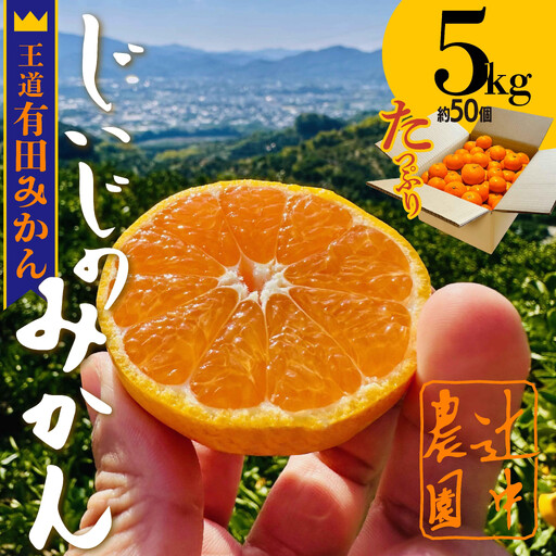 和歌山県有田みかん じぃじのみかん 約5kg