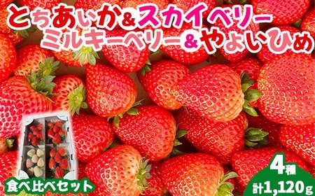 [先行受付]4種のいちご食べ比べセット 約280g×4パック (とちあいか・スカイベリー・ミルキーベリー・やよいひめ) | いちご 苺 イチゴ 果物 フルーツ 食べ比べ 栃木県 塩谷町 ※2027年1月〜発送