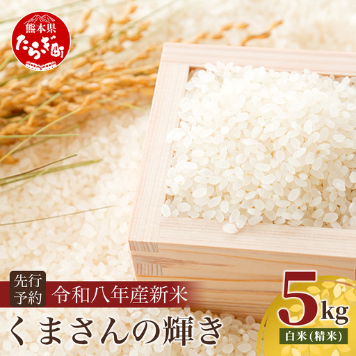 令和8年産 新米 くまさんの輝き 5kg (令和8年10月中旬〜発送) 精米・玄米選べる 熊本県産 お米
