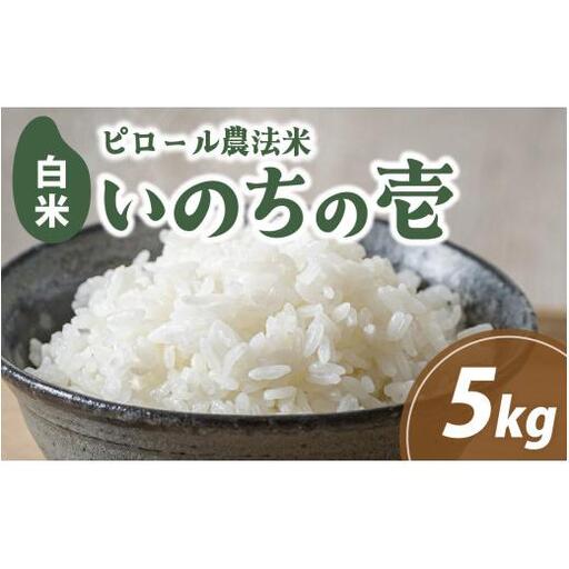 富山県滑川市産　弱アルカリ性米　「ピロール農法米　いのちの壱」精米5kg【2025年10月中旬より順次発送】 / 産地直送 袋 ブランド米 お米 米 ご飯 ごはん 富山 滑川市 アグリめぐみ 農家直送 おこめ
