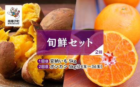[先行予約][定期便] 種子島 旬鮮セット 全2回 安納いも ポンカン 人気 種子島産 返礼品 南種子町 鹿児島 かごしま [のっちーよ種子島]
