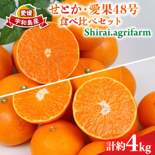 せとか 2kg 愛果48号 ( 紅プリンセス と同品種) 2kg 食べ比べ セット 計4kg Shirai.agrifarm 紅プリンセス