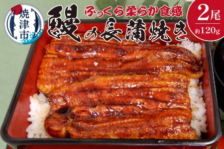 鰻 の 長蒲焼き 2尾 詰合せ (a19-013)