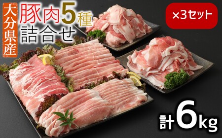 【寄附額見直し】小分けされてるから便利♪大分県産 豚詰め合わせ５種（約６kg）