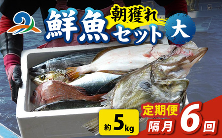 【定期便　隔月６回】【朝獲り】漁師厳選 鮮魚セット (大) 5種類以上 約5kg |お任せ 盛り合わせ