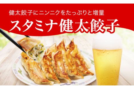「宇都宮餃子館」スタミナ健太餃子 960g(48個)≪ギョーザ 冷凍餃子 冷凍食品 グルメ 食品 惣菜 中華惣菜 点心 中華≫