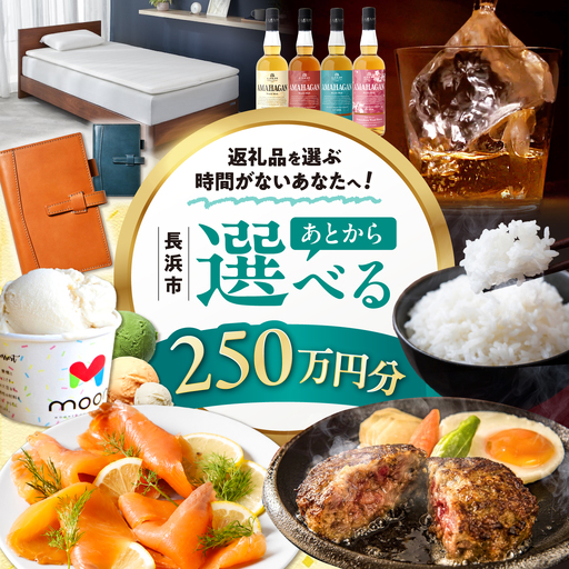 [あとから選べる]長浜市ふるさとギフト 250万円分[AQXX042]