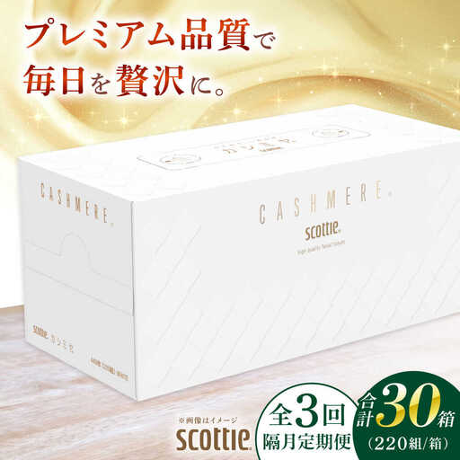 【全3回定期便(2ヵ月に1回)】カシミヤ スコッティ 10箱 ティッシュ ペーパー [BDAM033]