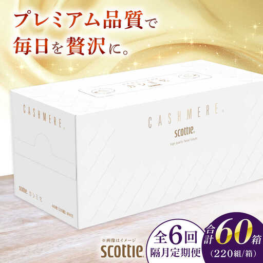 【全6回定期便(2ヵ月に1回)】カシミヤ スコッティ 10箱 ティッシュ ペーパー ティッシュペーパー [BDAM034]