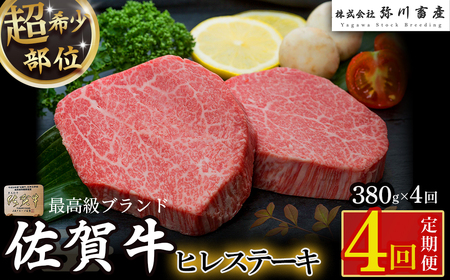 UA2x1 佐賀牛ヒレステーキ定期便4回 ヒレ ステーキ 定期便 4回 国産牛 和牛 ブランド牛 牛肉 肉 佐賀牛 高級 人気 おすすめ 佐賀県 太良町