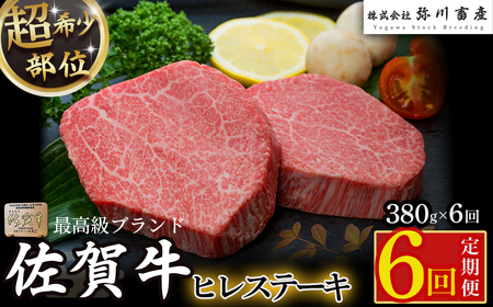 VD1x1 佐賀牛ヒレステーキ定期便6回 ヒレ ステーキ 定期便 6回 国産牛 和牛 ブランド牛 牛肉 肉 佐賀牛 奇数月 高級 人気 おすすめ 佐賀県 太良町