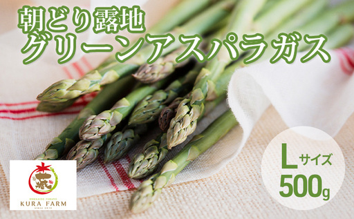 【2027年5月より発送】北海道 富良野市産 アスパラ 緑 約500g (15～23本前後) 朝どり 露地 グリーン アスパラガス 詰め合わせ 野菜 新鮮 数量限定 先着順【藏ファーム】