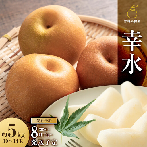 [2026年分] 梨 幸水 約5kg(10〜14玉)8月下旬〜順次発送[吉川果樹園] | 梨