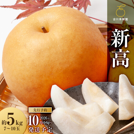 [2026年分] 梨 新高 約5kg(7〜9玉)10月中旬〜順次発送[吉川果樹園] | 梨