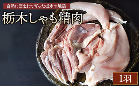 栃木しゃも精肉　1羽　※離島への配送不可