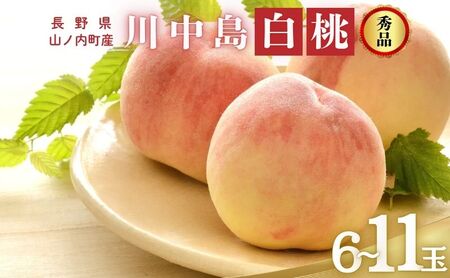 桃 川中島白桃 秀品 約 3kg 6〜11玉 桃
