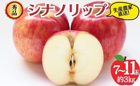 りんご シナノリップ 秀品 3kg 7〜11玉 りんご