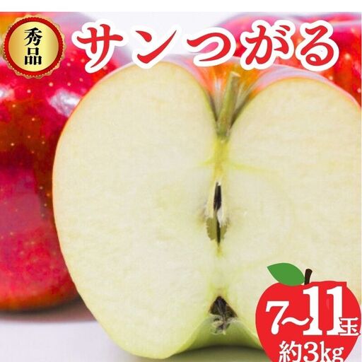 りんご サンつがる 秀品 3kg 7〜11玉 りんご