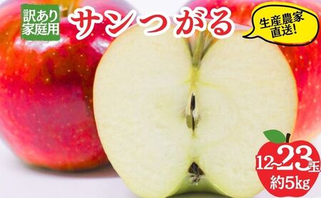 りんご サンつがる 訳あり 家庭用 5kg 12〜23玉 りんご