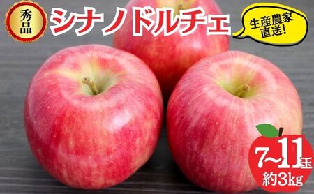 りんご シナノドルチェ 秀品 3kg 7〜11玉 りんご