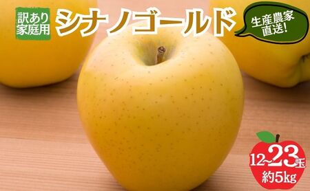 りんご シナノゴールド 訳あり 家庭用 5kg 12〜23玉 りんご