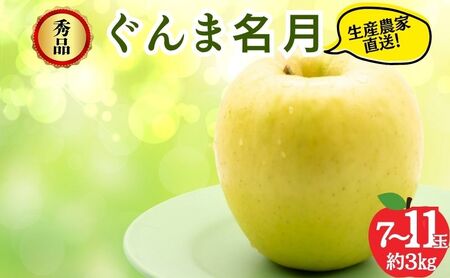 りんご ぐんま名月 秀品 3kg 7〜11玉 りんご
