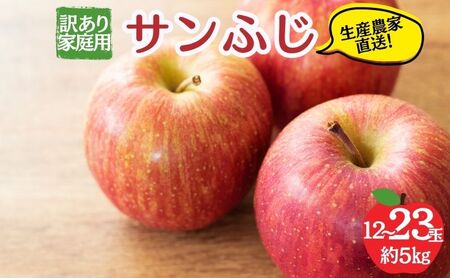 りんご サンふじ 訳あり 家庭用 5kg 12〜23玉 りんご
