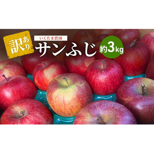 りんご 訳あり サンふじ 3kg りんご
