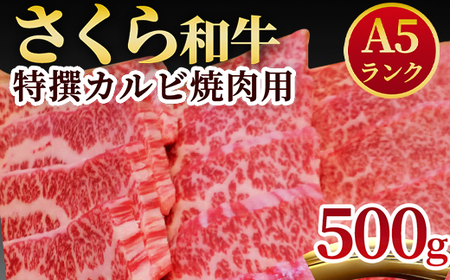 A5さくら和牛特撰カルビ焼肉用500g≪肉 焼肉 国産牛 グルメ≫◇