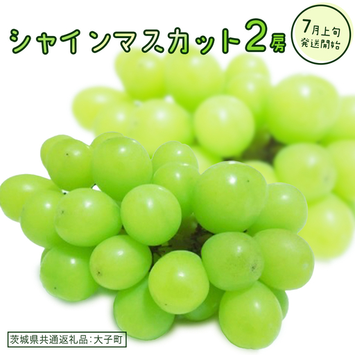 シャインマスカット ２房(茨城県共通返礼品：大子町)