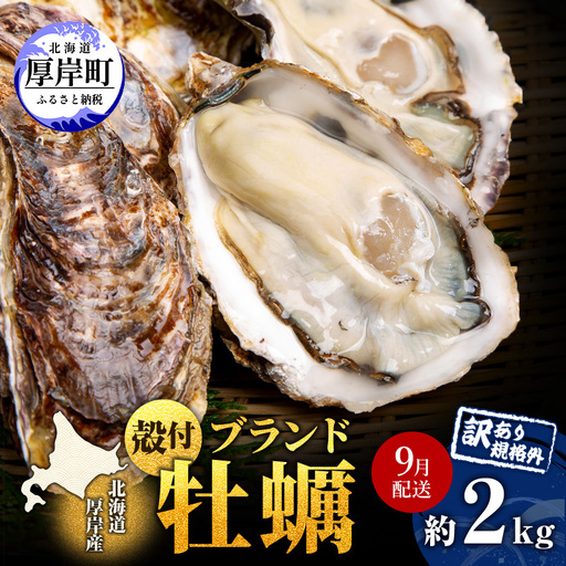 9月配送 訳あり 厚岸産牡蠣 約2kg 規格外 ブランド牡蠣