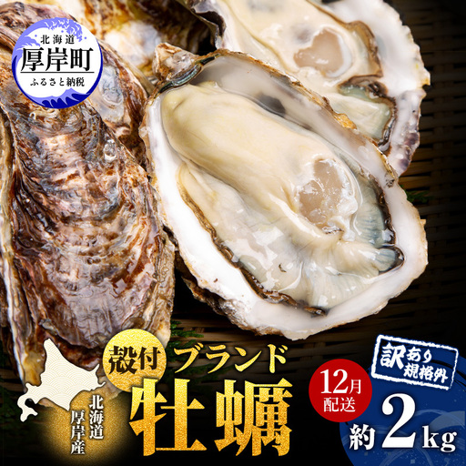 12月配送 訳あり 厚岸産牡蠣 約2kg 規格外 ブランド牡蠣