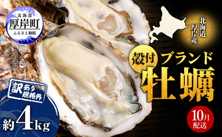 10月配送 訳あり 牡蠣 北海道厚岸産 殻付カキ 約4kg (25から50個) カキナイフ付 生食 生牡蠣 貝付き牡蠣 貝 海鮮 魚介類 殻付き牡蠣 マルえもん