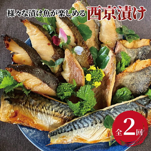 定期便 2ヵ月 西京漬け 詰め合わせ 銀鱈西京焼き 西京焼き ミックス盛り Jr&花子 漬け魚 漬魚 西京味噌 西京味噌漬け 魚 焼き魚 切身 和食 おかず 惣菜 ご飯のお供 おつまみ
