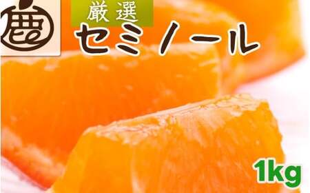 セミノール オレンジ 厳選 1kg+250g(痛み補償分) 光センサー / みかん 甘い 高級 柑橘 晩柑 和歌山 有田 ※4月上旬〜6月下旬ごろに順次発送 ※北海道・沖縄・離島への配送不可 [ikd016-p-1A]