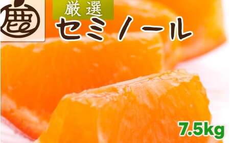 セミノール オレンジ 厳選 7.5kg+250g（痛み補償分） 光センサー / みかん 甘い 高級 柑橘 晩柑 和歌山 有田 ※4月上旬～6月下旬ごろに順次発送 ※北海道・沖縄・離島への配送不可 【ikd016-p-7d5C】