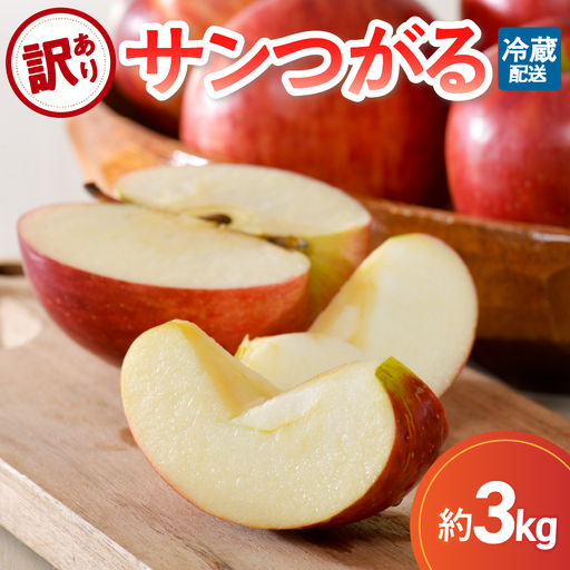[9月発送][訳あり] りんご 約3kg サンつがる 青森県産 りんご