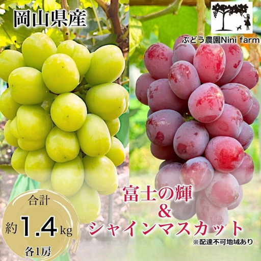 ぶどう 2026年 先行予約 ぶどう 富士の輝＆こだわりのシャインマスカット 合計 約1.4kg 贈答用