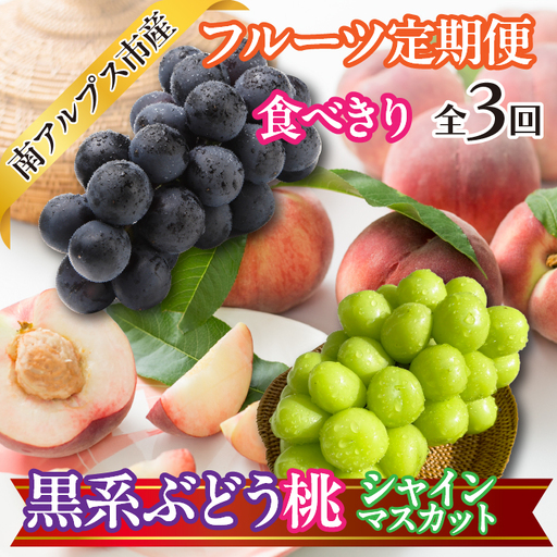 ★先行予約【食べきり】おいしいくだもの3回定期便〈くだもの　フルーツ　桃　巨峰　黒系ぶどう　シャインマスカット　新鮮　農家直送　産地直送　人気　山梨県　南アルプス市　〉ALPAJ057