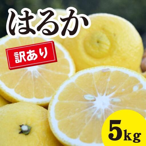 みかん【先行受付】【2027年3月中旬以降発送】濃厚な甘みに驚愕！ 瀬戸内の訳ありはるか＜約5kg＞広島 三原 佐木島 鷺島みかんじま 017069